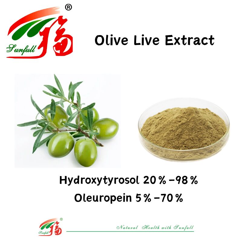 100% natürliche Nahrungsergänzungsmittel Nahrungsergänzungsmittel Fabriklieferung 80% Oleuropein /5%~20% Hydroxytyrosol Olivenblattextrakt