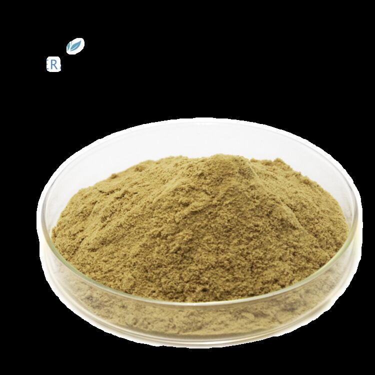 100% natürliche Nahrungsergänzungsmittel Nahrungsergänzungsmittel Fabriklieferung 80% Oleuropein /5%~20% Hydroxytyrosol Olivenblattextrakt