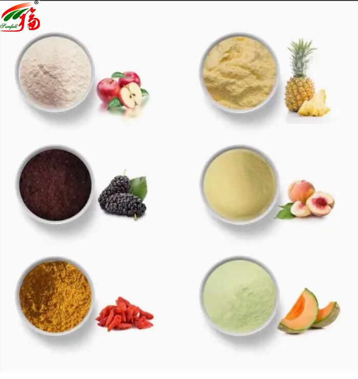 Frucht Zutaten Gesundheit Lebensmittel hohe Qualität guter Geschmack und Wasserlöslichkeit Getränke Gefriertrocknete Pulver Verschiedene Fruchtpulver
