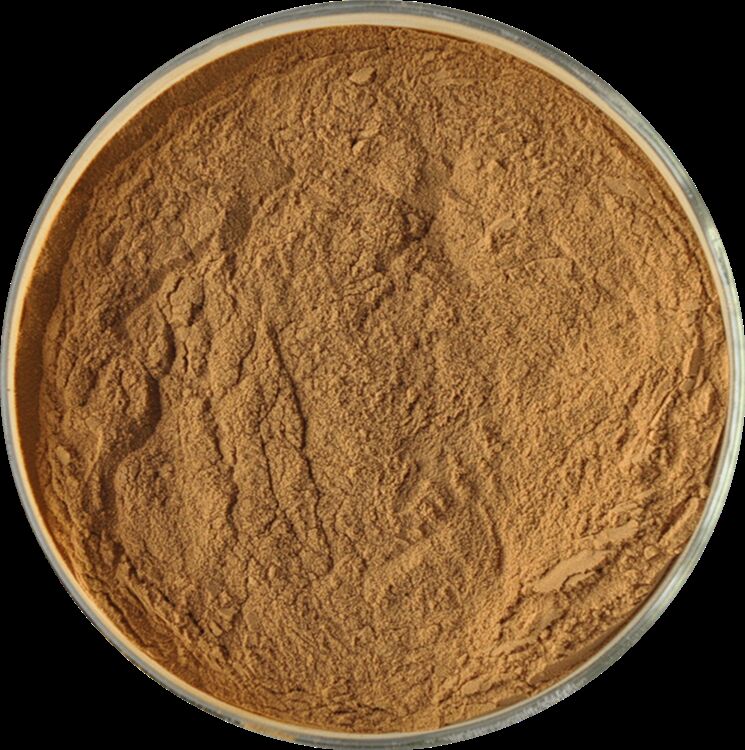 Förderung der Gesundheit von Männern Natürlicher hochwertiger Fenugreek-Samen-Extrakt Saponine 20% / Phenylethanoid-Glycoside 40% / Echinakosid 8% Cistanze-Extrakt