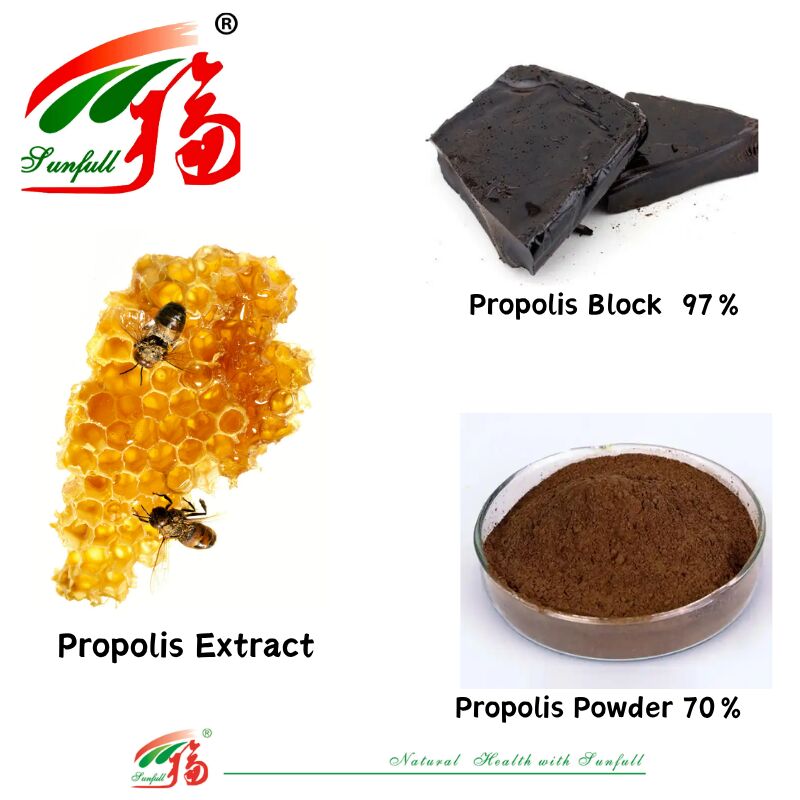 Nahrungsergänzungsmittel/Pharmazeutika reich an Flavonoiden 10%-20% wasserlöslicher Propolisblock 97% / Propolispulver 70% Propolis-Extrakt