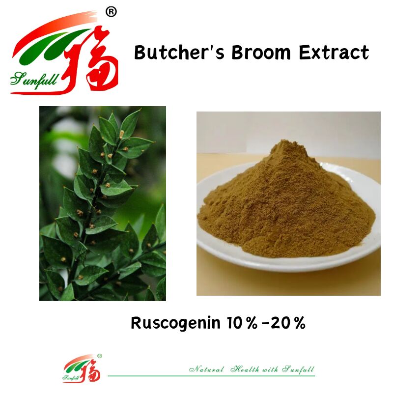 Hohe Qualität Fabrikpreis Ruscus Aculeatus Wurzel Extrakt 10%-20% Ruscogenin Metzler Besen Extrakt