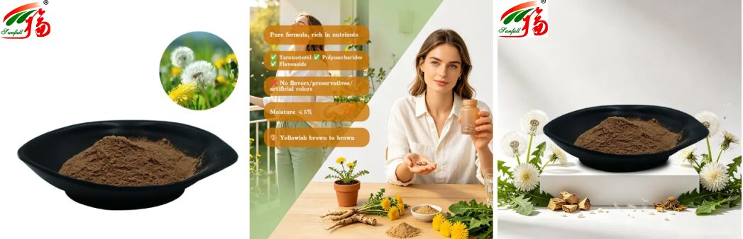 Lebensmittelqualität Löwenzahn Kraut Löwenzahnblätter Extrakt Pulver Natürliche Flavonoide 5%-10% Bio-Löwenzahn-Extrakt