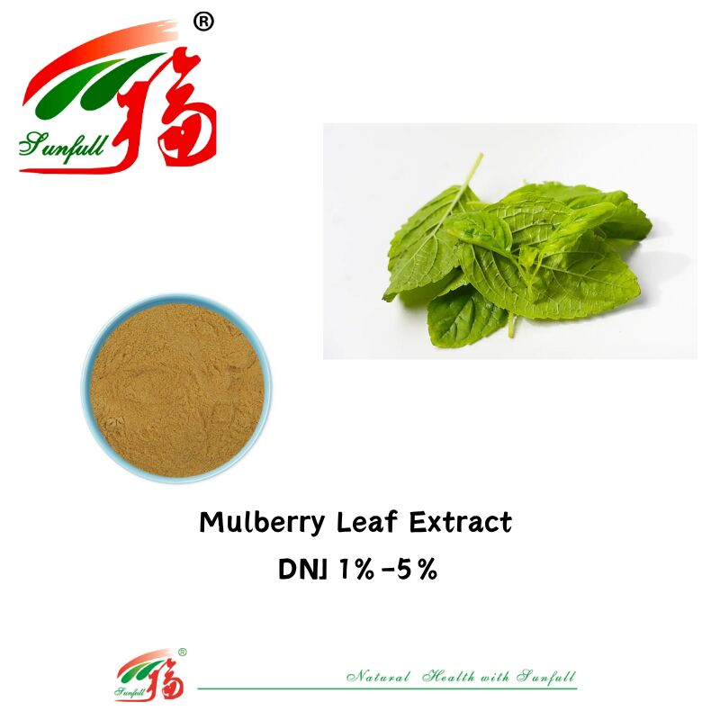 Kostenlose Probe Lebensmittelqualität 1%-5% HPLC Deoxynojirimycin Dnj Pulver Polysaccharide Mulberry Leaf Extract Pulver Anti-Aging Antioxidans für kosmetische Formulierungen