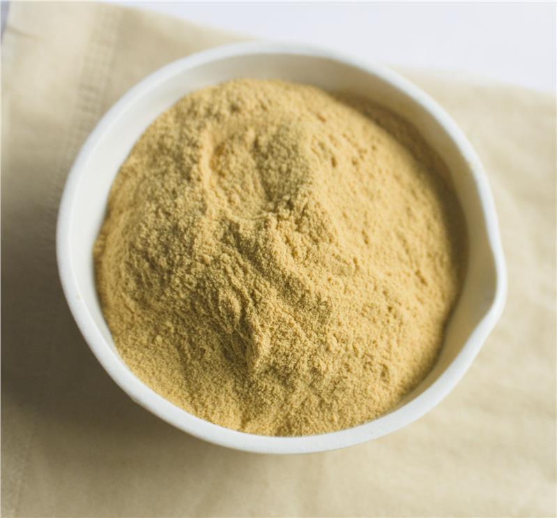 Fabriklieferung Hämostase Nahrungsergänzungsmittel 10% 40% 80% Notoginsenoside Panax Notoginseng Wurzelextrakt