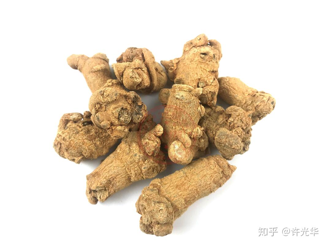 Fabriklieferung Hämostase Nahrungsergänzungsmittel 10% 40% 80% Notoginsenoside Panax Notoginseng Wurzelextrakt