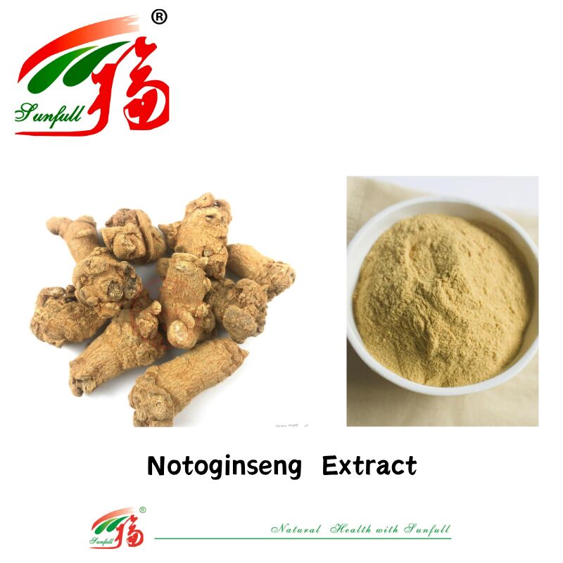 Fabriklieferung Hämostase Nahrungsergänzungsmittel 10% 40% 80% Notoginsenoside Panax Notoginseng Wurzelextrakt