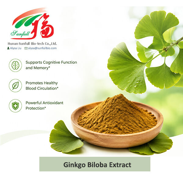 Natürlicher Ginkgo Biloba-Extrakt Cp/ USP/ Ep/ wasserlöslich
