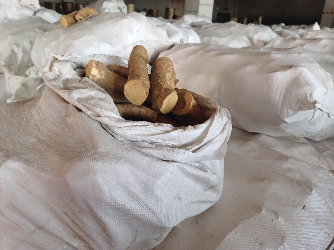 0,5% fieberhafte Antitätigkeit Eurycomanone-Auszug Eurycoma longifolia Root Extract Powder For