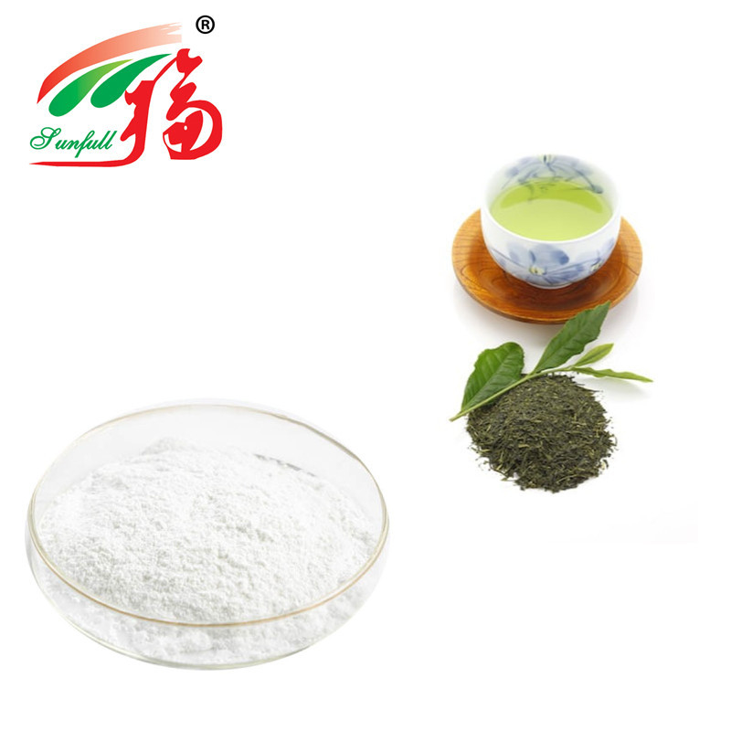 98% EGCG Green Tea Extract Powder Polyphenols Epigallocatechin Gallate