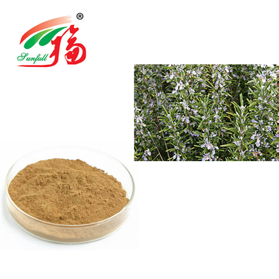 Säure Rosemary Extracts 30% Rosmarinic für alternden Antirosmarinus Officinalis