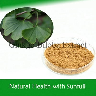 100% natürliches Ginkgo-Biloba-Extrakt zur Senkung des Blutdrucks