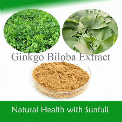 Ginkgo Biloba P.E. 24% Gesamtflavone 6% Terpene Laktone 5 ppm für die Gesundheit des Herzens