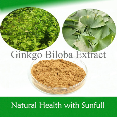 Natürliche Ginkgo Biloba Extrakt 24% Ginkgoflavoglycoside 6% Terpenlaktone