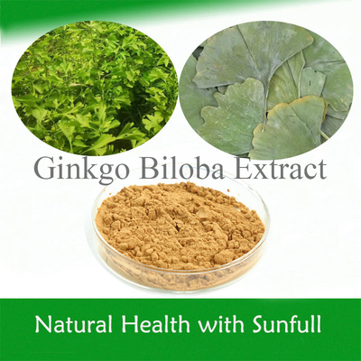 Ginkgo Biloba-Blatt-Extrakt 24/6 CAS 90045-36-6 Cp USP561 Ep EC396