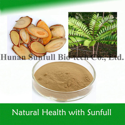 Tongkat Ali PE Malaysischer Ginseng 1%-10% Eurycomanone für Männer Gesundheit