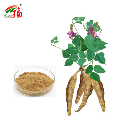 China Fabrik Natur Kudzu Wurzel Extrakt Puerarin mit 25% 60% 98% für die Option