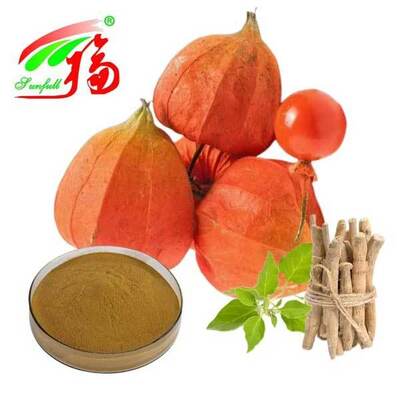 Withania Somnifera Südafrika Withanolide 5% Ashwagandha-Wurzelextrakt Lebensmittel Gesundheitspflegeprodukte