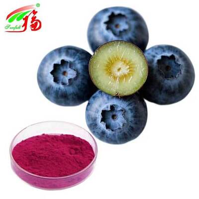 Blaubeerextrakt Pulver Vaccinium Uliginosum L Anthocyanidine 5% bis 25%