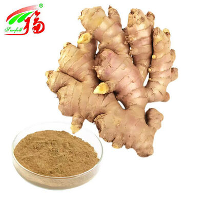 Ingwerextrakt Ingwerwurzelextrakt Gingerole 10 % 5 % 1 % Verdauungskomfort, Atmungsunterstützung und Gelenkbeweglichkeit