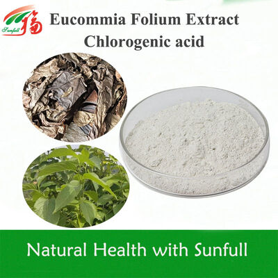 Hochreiner Eucommia Ulmoides Blattextrakt Chlorogensäure | 5%-99% Spezifikationen auf Lager | Natürliches Antioxidans