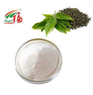 REINER grüner Tee-Auszug pulverisieren 98% EGCG Epigallocatechin Gallat für Kosmetik