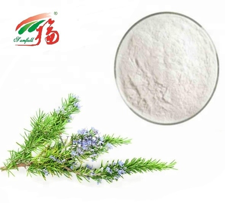 90% - 98% Rosmarinic saures Pulver/Rosemary Antioxidant Extract For Pharmaceutical
