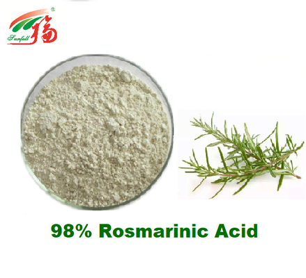 98% Rosmarinic saure natürliche Rosemary Extract Supplement For Antioxidant