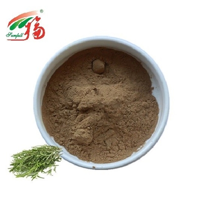 Antioxidans-Rosemary Extract Powder Rosmarinic Acid-HPLC für Lebensmittel-Zusatzstoff